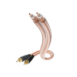 Inakustik Star Cinch Cable