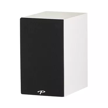 Paradigm Premier 100B