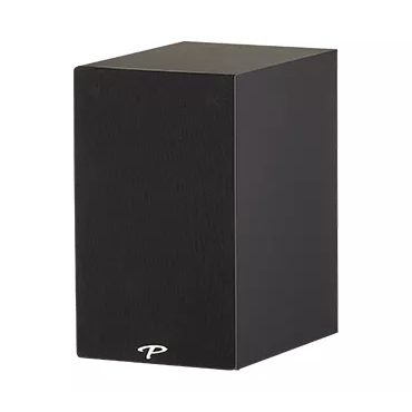 Paradigm Premier 100B