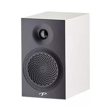 Paradigm Premier 100B