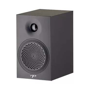 Paradigm Premier 100B