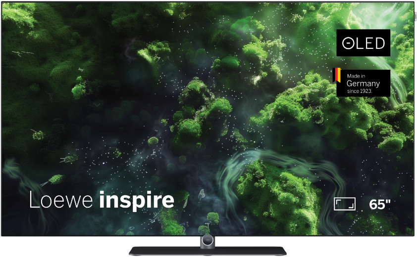 Loewe inspire 65 dr+