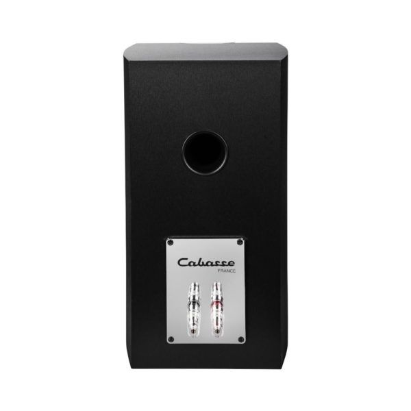 Cabasse Minorca MC40