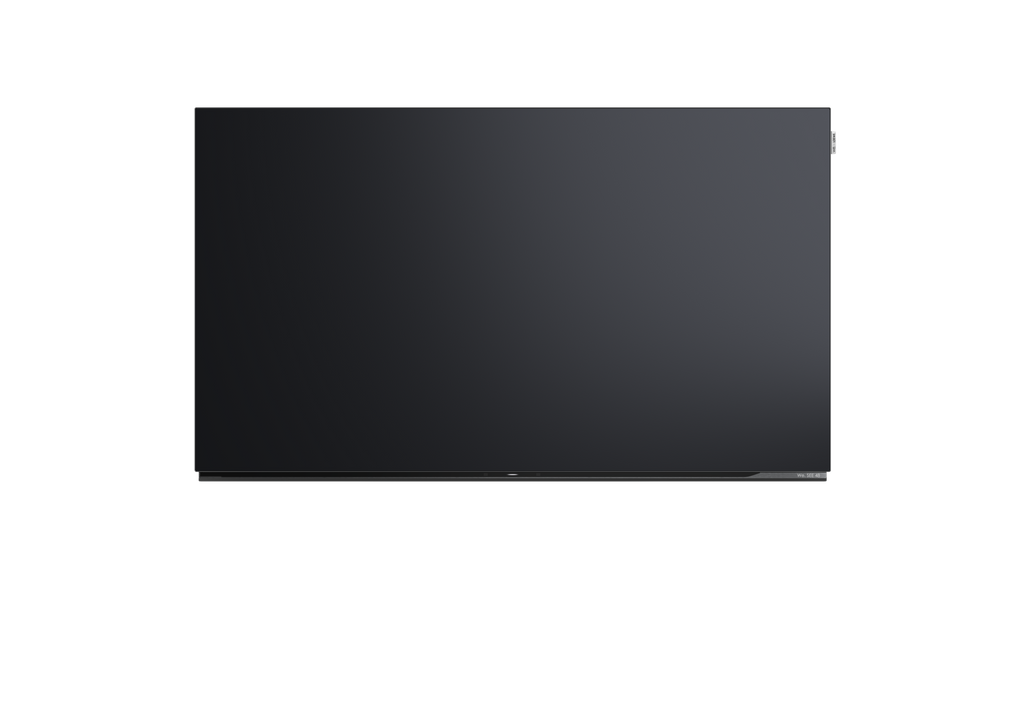 Loewe We. SEE 48 oled dc