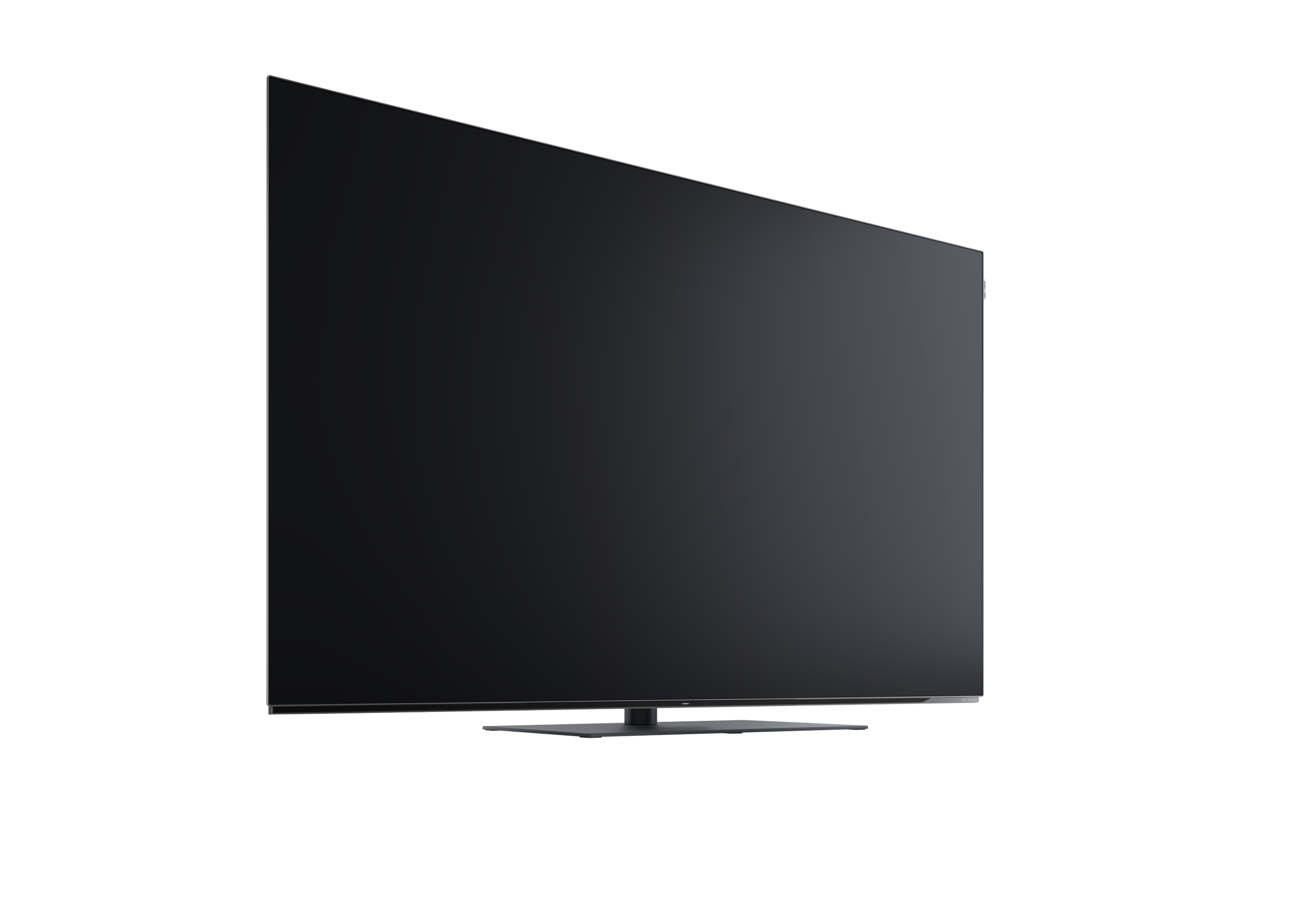 Loewe We. SEE 65 oled dc