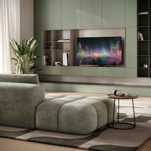 Loewe We. SEE 55 oled dc