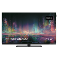 Loewe We. SEE 42 oled dc