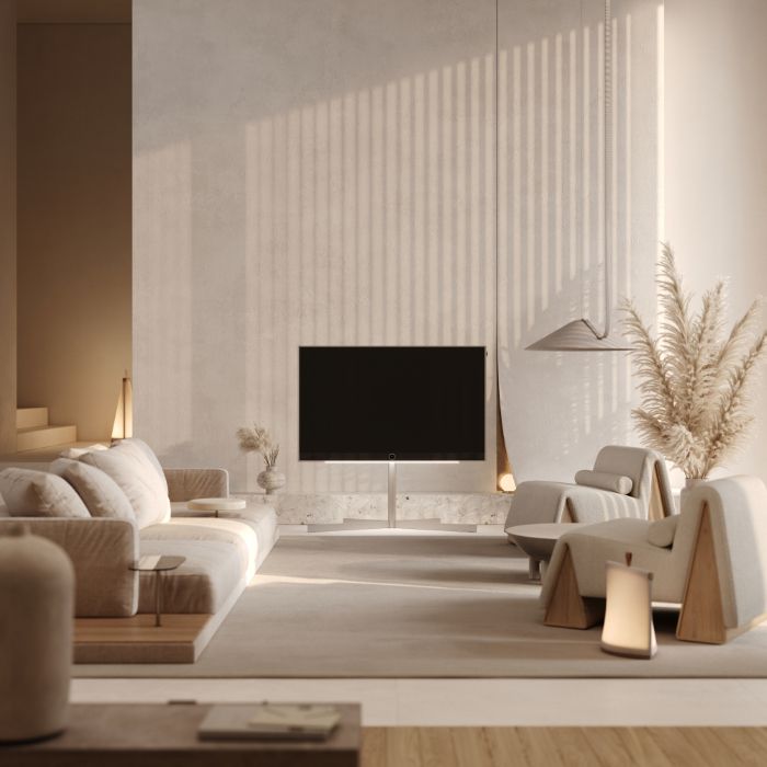 Loewe stellar 65 dr+ alu + alu matt