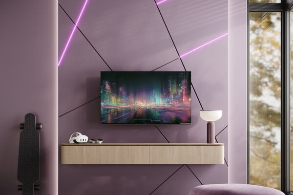 Loewe We. SEE 55 oled dc