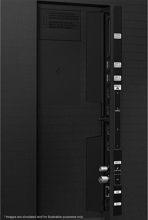 Samsung QE65S95HFTXZU